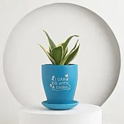 Summer Delight For Mom Gift Pot-18