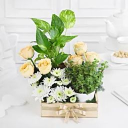 Green Babies N Floral Beauties Gift Tray-image-4