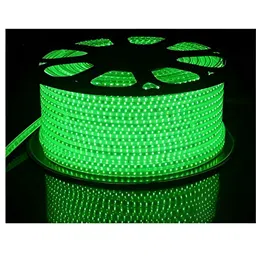 ENORMITY Green Rice Shape String Lights image 3