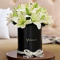 Graceful White Asiatic Lilies-image-55