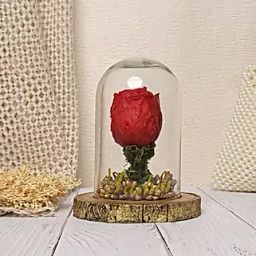 Personalised Forever Rose Valentine Gift-image-15