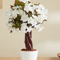 Home Centre Gardenia Artificial Blossom Flowers With Melamine Pot-image-18