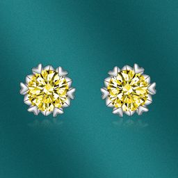 Designs & You Cubic Zirconia Silver Plated Floral Studs Earrings-15