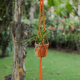 DULI 3-Pcs Yellow & White Macrame Wall Hanging Planters-37