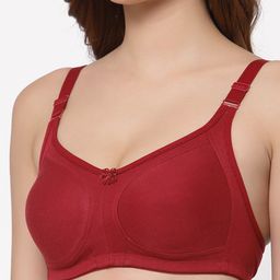 Floret Set of 2 Pink & Red Bra image 2