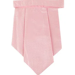 Alvaro Castagnino Men Pink Printed Cravat Tie-image-98