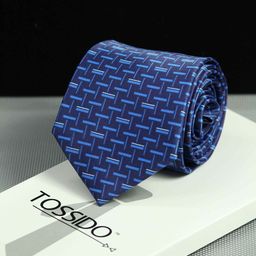 Tossido Men Blue & White Printed Skinny Tie-image-114