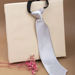 Arendelle Boys Silver Satin Adjustable Skinny Tie-image-25