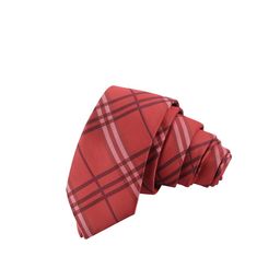 Alvaro Castagnino Men Red & White Striped Skinny Tie-image-59