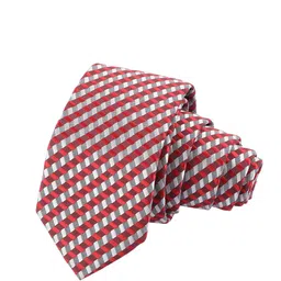 Alvaro Castagnino Men Red & White Checked Skinny Tie-image-86