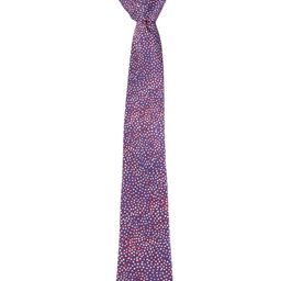 Alvaro Castagnino Men Purple & White Printed Skinny Tie-image-101