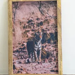 The Decor Mart Beige & Grey Tiger In The Jungle Canvas Painting Framed Wall Art-image-75