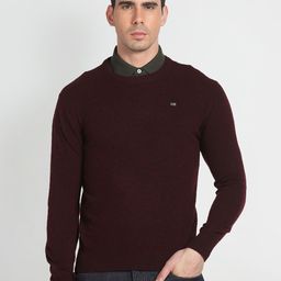 Arrow Sport Round Neck Woollen Sweater-image-55