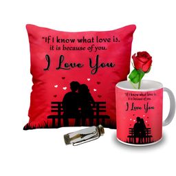 ME & YOU Red & White 4 Pieces Printed Cushion Coffee Mug Rose & Message Pills Gift Set-image-88