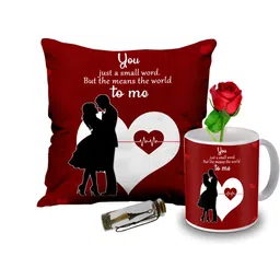ME & YOU Red & White 4 Pieces Printed Cushion Coffee Mug Rose & Message Pills Gift Set-image-85