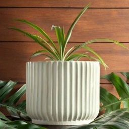 harla arts Pheonix (Medium) Pink Porcelain Floor Planters-picture-1