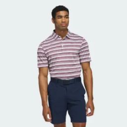 Two-Color Striped Polo Shirt-image-9