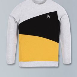 3PIN Boys Colourblocked Round Neck Long Sleeve Cotton Regular T-shirt-image-14