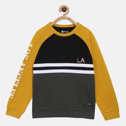 3PIN Boys Multicoloured Printed Sweatshirt-image-68