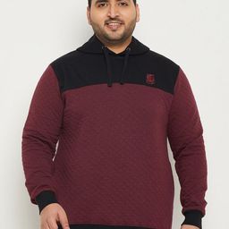 bigbanana Plus Size Colourblocked Antimicrobial Hooded Pure Cotton Pullover Sweatshirt-picture-23