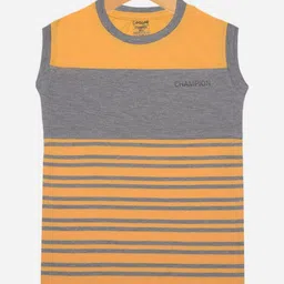 Dollar Champion Kidswear Boys Striped T-shirt-picture-27