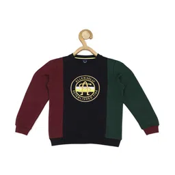 Allen Solly Junior Boys Colourblocked Embroidered Sweatshirt-picture-58