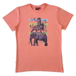 Gini and Jony Boys Printed Cotton T-shirt-image-62