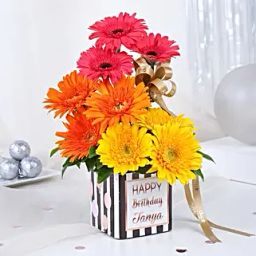 Personalised Gerbera Birthday Bliss-image-80