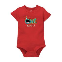 Zeezeezoo Infants 1 Birthday Printed Pure Cotton Bodysuit-image-13