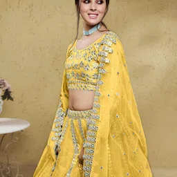 FABPIXEL Embroidered Sequinned Net Semi-Stitched Lehenga & Unstitched Blouse With Dupatta image 4