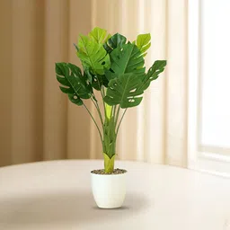 Ekhasa Green 1 Pieces Fig Artificial Plant With Pot-picture-48