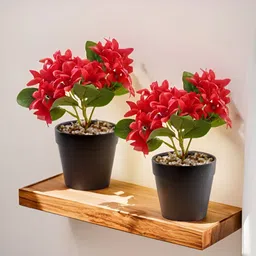 The Better Home Red & Green 2 Pieces Artificial Flower With Pot-27