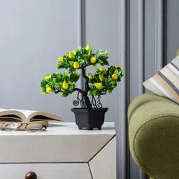 FOLIYAJ Green & Yellow Artificial 3 Head Bonsai Pear Tree With Pot-12