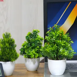GW CREATIONS Green 3 Pieces Daisy Artificial Flowers With Pots-43