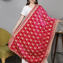 Moda Chales Embroidered Velvet Dupatta-picture-57