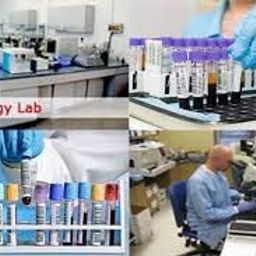 Lab Junction Centrifuge Machine Medico Centrifuge Machine Handi Shape 3500 RPM 8 Tubes 15 ml LJ-101 F as per Quality Standards image 3