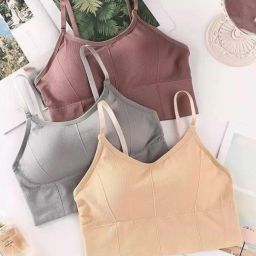 Pack of 3 Women Sports Lightly Padded Bra-image-1
