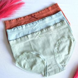 Pack of 3 Premium Lycra Blend Fabric with StayFresh Seamless High Coverage Ladies Brief Women Hipster Multicolor Panty-picture-21