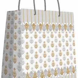 Trendy Carry Size Nano RecyclableEco Printed Party Bag-17