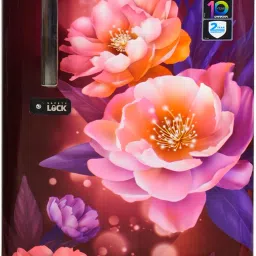 175 L Direct Cool Single Door 1 Star Refrigerator-image-92