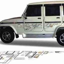 Sticker & Decal for Car-image-8