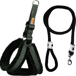 Dog Harness & Leash-21