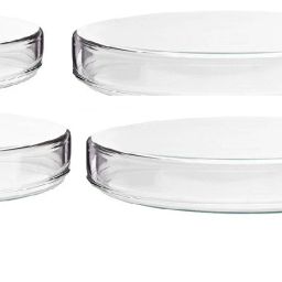 Glass Reusable Petri Dish-image-92