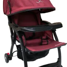 Panda,|300DFabric |Seat Recline|Expandable Footrest,Canopy|FoodTray|0-36M Pram-21