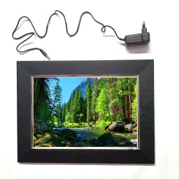 AMAZON FOREST 2 LED FRAME 11.5 BY 15.55 15.5 inch LED PHOTO FRAME-image-15