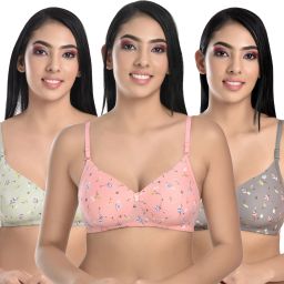 Pack of 3 Women T-Shirt Lightly Padded Bra-image-80