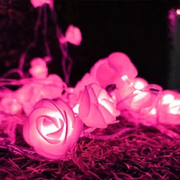 20 LEDs 4.1 m Pink Steady String Rice Lights-image-4
