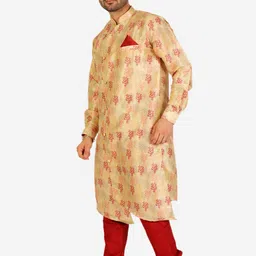 Pro-Ethic Style Developer Men Ethnic Motifs Printed Pure Silk Kurta with Pyjamas image 4