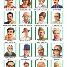 Freedom Fighters Images Photo Poster Wall Charts Extremely Usefull For Growing Kids | Laminated Chart | Paper Size (13 * 19 Inch) | (Rolled With Safety Tube) 3D Poster-image-39