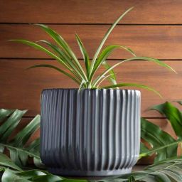 harla arts Pheonix Grey Porcelain Floor Planters-picture-48